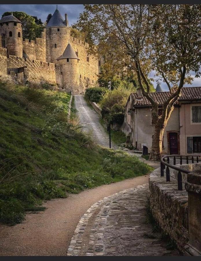 Maison Petite Cote Carcassonne Esterno foto